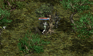 linc1645.bmp