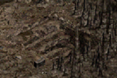 5.bmp