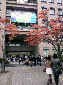 2009-10-25-1.jpg