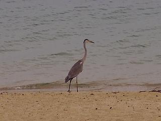 p8190045.jpg