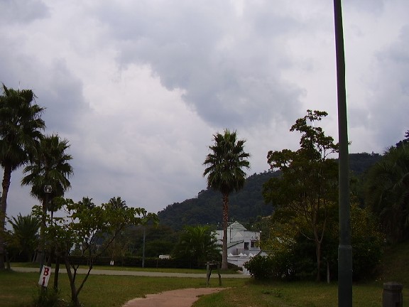 pa310077.jpg