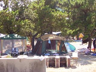 p8110034.jpg
