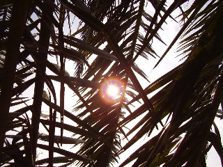 p1290011.jpg