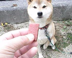 ラッキー