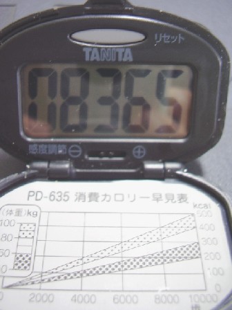 pc250001.jpg