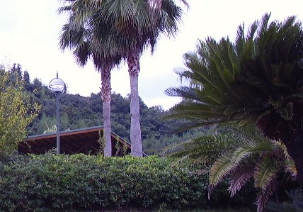p9280024.jpg