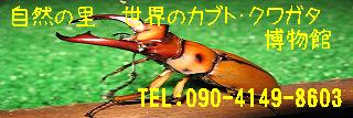 img20081029.jpg