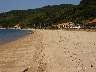 p7250017.jpg