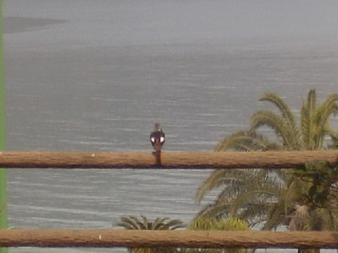 p2120032.jpg