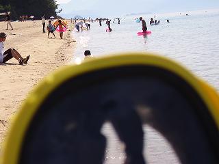 p8110039.jpg