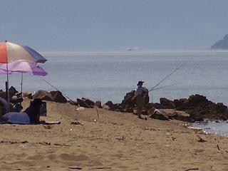 p8110035.jpg