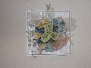 img_3117.jpg
