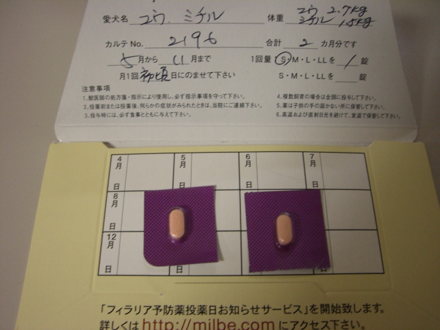 cimg5954.jpg