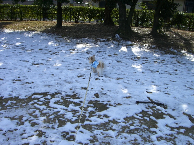 cimg5469.jpg