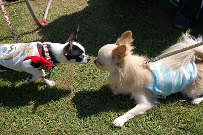 img20060924.jpg