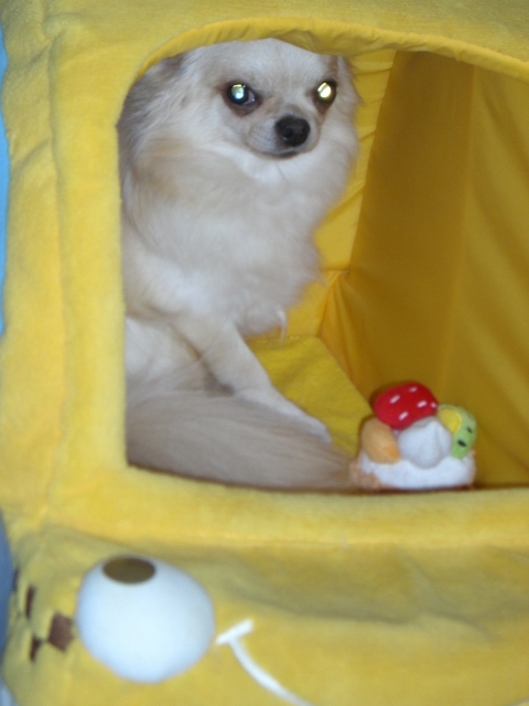 cimg6749.jpg