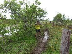 p1080264%281%29.jpg