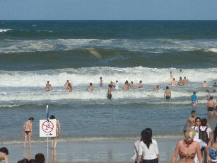 p1120570%281%29.jpg