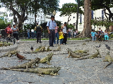 p1090136%281%29.jpg