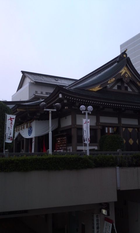 433d4536.jpg