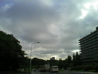 533ca415.jpg