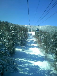 img20100131_1.jpg