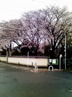 img20070331.jpg