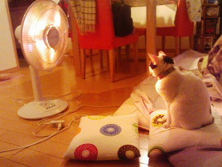 img20061226.jpg
