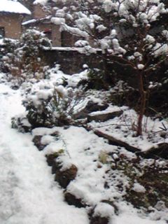 Image4801.jpg
