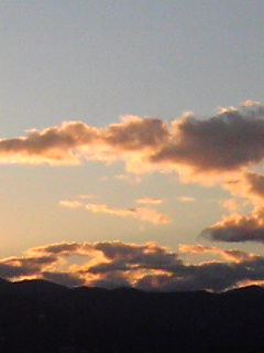 2659d302.jpg