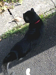 img20091025.jpg