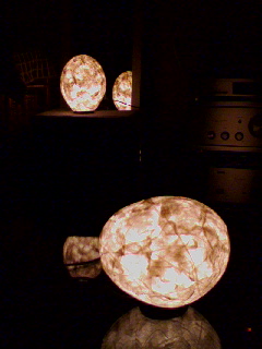 img20080514.jpg