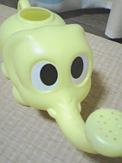 img20090519_1.jpg