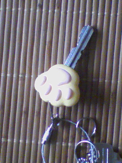 img20080622_1.jpg
