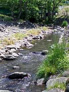 img20090520.jpg