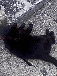 img20090919.jpg