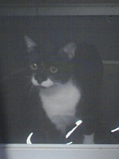 img20090925.jpg