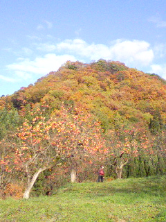 img20091113.jpg