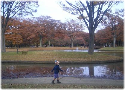 kouyou-kodomo2.jpg