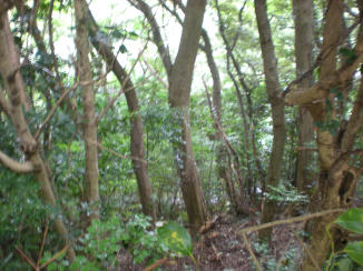 img20091027.jpg