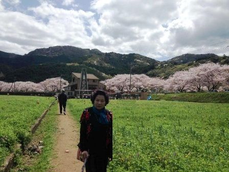 松崎 花畑