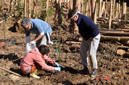 差田のオリーブ畑 植樹①