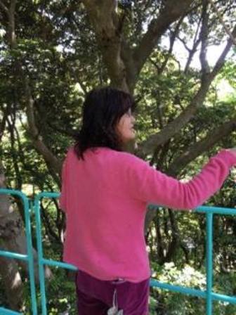 上から
