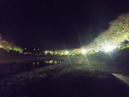 夜桜ナイトラン ①
