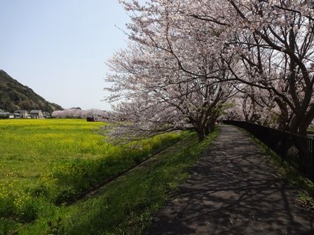 DSC08144