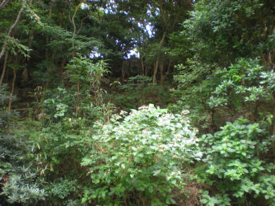 img20091027_1.jpg