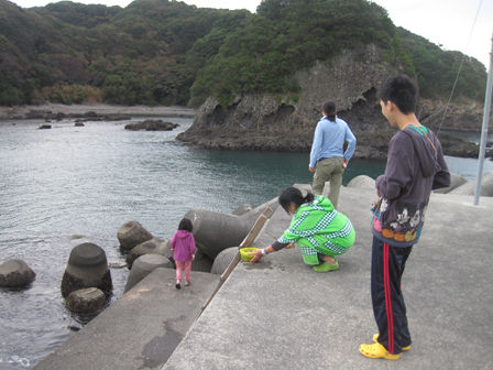 したる
