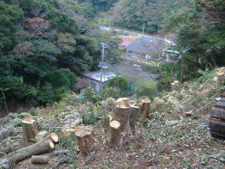 img20091112_1.jpg