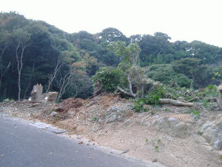 img20091112.jpg