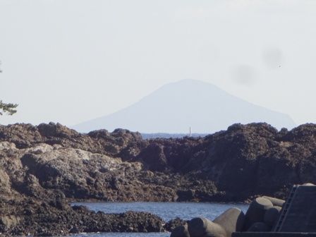 こいな④